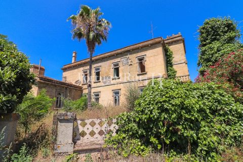 Farm i Sousel, Portalegre, Sousel - € 1.975.000 | Ref: FG921 - foto 18