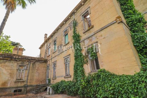 Farm i Sousel, Portalegre, Sousel - € 1.975.000 | Ref: FG921 - foto 19
