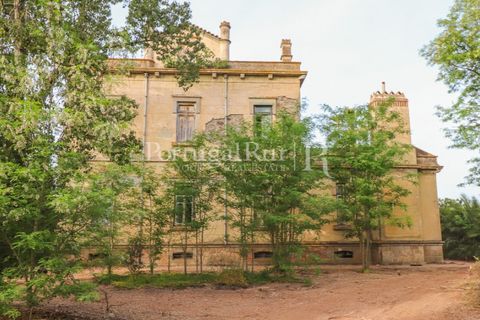 Farm i Sousel, Portalegre, Sousel - € 1.975.000 | Ref: FG921 - foto 23