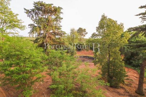Farm i Sousel, Portalegre, Sousel - € 1.975.000 | Ref: FG921 - foto 50