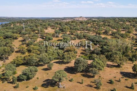 Grond in Avis, Portalegre, Avis - € 1.180.000 | Ref: IM488 - foto 2