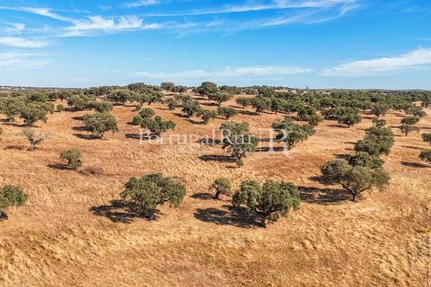 Grond in Avis, Portalegre, Avis - € 1.180.000 | Ref: IM488 - foto 3