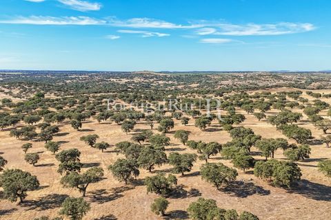 Grond in Avis, Portalegre, Avis - € 1.180.000 | Ref: IM488 - foto 4