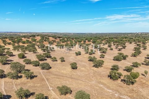 Grond in Avis, Portalegre, Avis - € 1.180.000 | Ref: IM488 - foto 5
