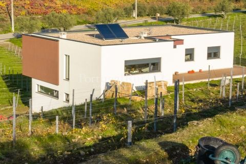 Farm i Tabuaco, Viseu, Tabuaco - € 500.000 | Ref: JF92 - foto 2