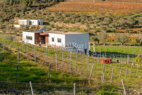 Farm i Tabuaco, Viseu, Tabuaco - € 500.000 | Ref: JF92 - foto 4