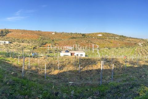 Farm i Tabuaco, Viseu, Tabuaco - € 500.000 | Ref: JF92 - foto 37