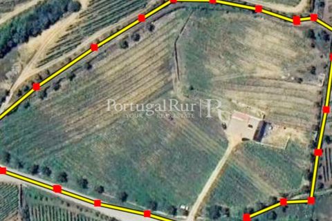Farm i Tabuaco, Viseu, Tabuaco - € 500.000 | Ref: JF92 - foto 38