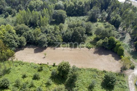 Helårsgrund i Pedroso, Porto, Pedroso - € 39.000 | Ref: ZMPT560445 - foto 12