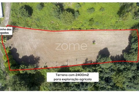Helårsgrund i Pedroso, Porto, Pedroso - € 39.000 | Ref: ZMPT560445 - foto 3