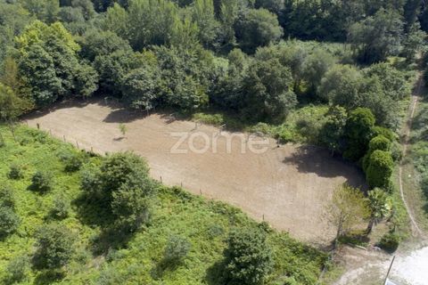 Helårsgrund i Pedroso, Porto, Pedroso - € 39.000 | Ref: ZMPT560445 - foto 11