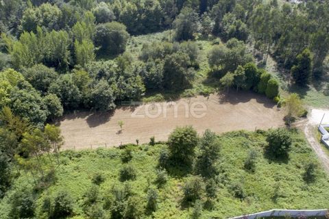 Helårsgrund i Pedroso, Porto, Pedroso - € 39.000 | Ref: ZMPT560445 - foto 13