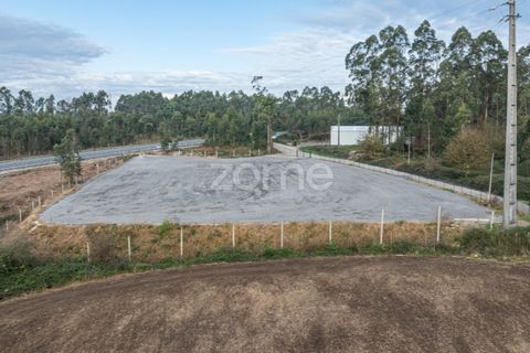 Terra a Trofa, Porto, Trofa - € 1.950/mes | Ref: ZMPT572899 - foto 13