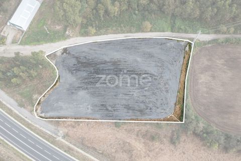 Terra a Trofa, Porto, Trofa - € 1.950/mes | Ref: ZMPT572899 - foto 11