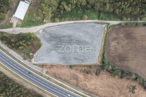 Terra a Trofa, Porto, Trofa - € 1.950/mes | Ref: ZMPT572899 - foto 12