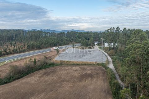 Terra a Trofa, Porto, Trofa - € 1.950/mes | Ref: ZMPT572899 - foto 5