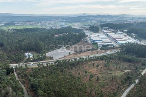 Terra a Trofa, Porto, Trofa - € 1.950/mes | Ref: ZMPT572899 - foto 9