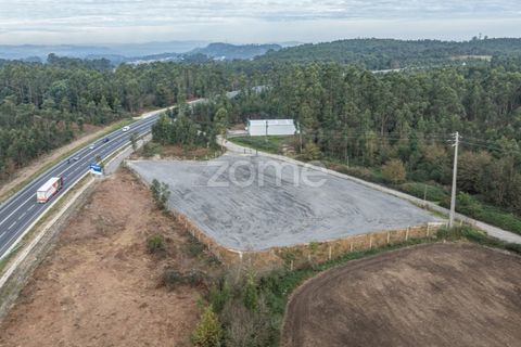 Terra a Trofa, Porto, Trofa - € 1.950/mes | Ref: ZMPT572899 - foto 6