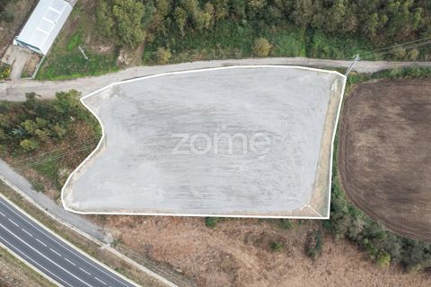 Terra a Trofa, Porto, Trofa - € 1.950/mes | Ref: ZMPT572899 - foto 3