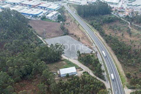 Terra a Trofa, Porto, Trofa - € 1.950/mes | Ref: ZMPT572899 - foto 4