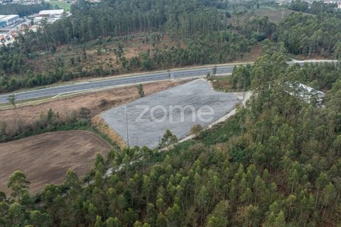 Terra a Trofa, Porto, Trofa - € 1.950/mes | Ref: ZMPT572899 - foto 7