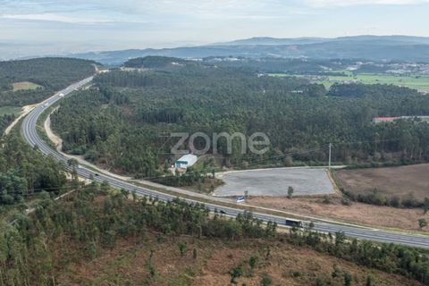 Terra a Trofa, Porto, Trofa - € 1.950/mes | Ref: ZMPT572899 - foto 10