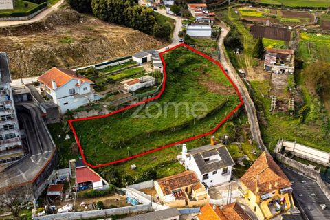 Helårsgrund i Oliveira do Douro, Porto, Oliveira do Douro - € 800.000 | Ref: ZMPT572058 - foto 3
