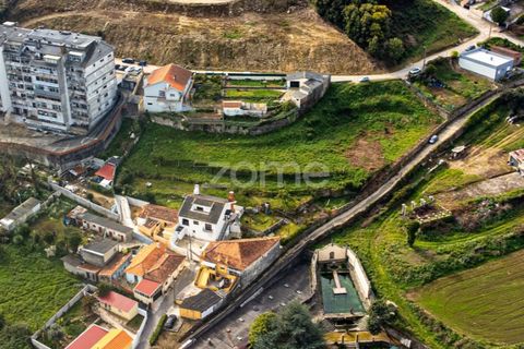 Helårsgrund i Oliveira do Douro, Porto, Oliveira do Douro - € 800.000 | Ref: ZMPT572058 - foto 14