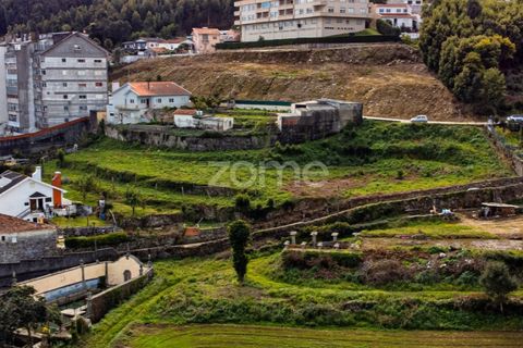 Helårsgrund i Oliveira do Douro, Porto, Oliveira do Douro - € 800.000 | Ref: ZMPT572058 - foto 16