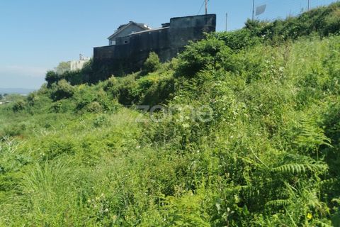 Helårsgrund i Oliveira do Douro, Porto, Oliveira do Douro - € 800.000 | Ref: ZMPT572058 - foto 22