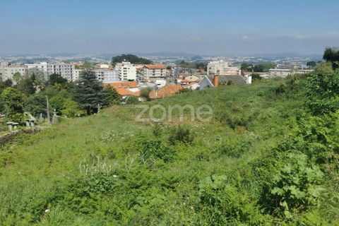 Helårsgrund i Oliveira do Douro, Porto, Oliveira do Douro - € 800.000 | Ref: ZMPT572058 - foto 23