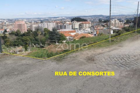 Helårsgrund i Oliveira do Douro, Porto, Oliveira do Douro - € 800.000 | Ref: ZMPT572058 - foto 25