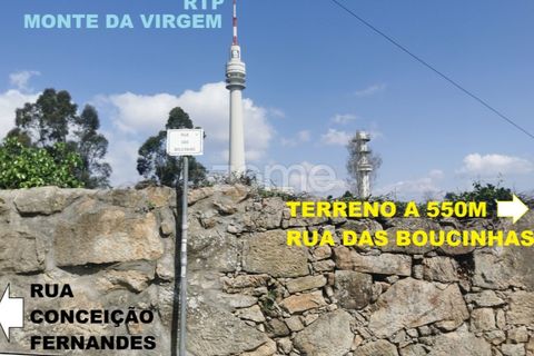 Helårsgrund i Oliveira do Douro, Porto, Oliveira do Douro - € 800.000 | Ref: ZMPT572058 - foto 29