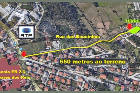 Helårsgrund i Oliveira do Douro, Porto, Oliveira do Douro - € 800.000 | Ref: ZMPT572058 - foto 31