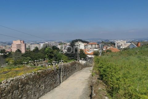 Helårsgrund i Oliveira do Douro, Porto, Oliveira do Douro - € 800.000 | Ref: ZMPT572058 - foto 35
