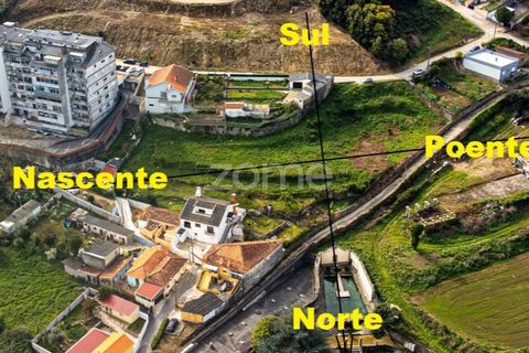 Helårsgrund i Oliveira do Douro, Porto, Oliveira do Douro - € 800.000 | Ref: ZMPT572058 - foto 7