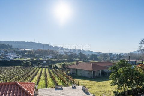 Farm i Penafiel, Porto, Penafiel - € 1.100.000 | Ref: ZMPT572877 - foto 47