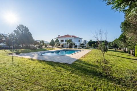 Farm i Penafiel, Porto, Penafiel - € 1.100.000 | Ref: ZMPT572877 - foto 48