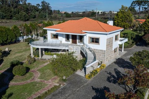 Farm i Penafiel, Porto, Penafiel - € 1.100.000 | Ref: ZMPT572877 - foto 4