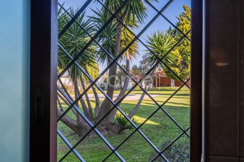 Farm i Penafiel, Porto, Penafiel - € 1.100.000 | Ref: ZMPT572877 - foto 19