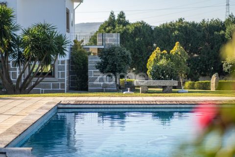 Farm i Penafiel, Porto, Penafiel - € 1.100.000 | Ref: ZMPT572877 - foto 21
