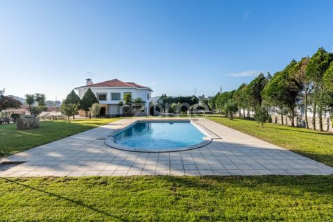 Farm i Penafiel, Porto, Penafiel - € 1.100.000 | Ref: ZMPT572877 - foto 7