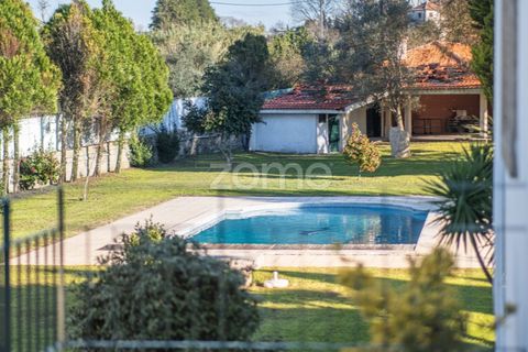 Farm i Penafiel, Porto, Penafiel - € 1.100.000 | Ref: ZMPT572877 - foto 37
