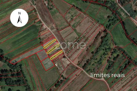 Terra a Sobreira, Porto, Sobreira - € 7.900 | Ref: ZMPT570601 - foto 7