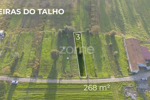 Terra a Sobreira, Porto, Sobreira - € 7.900 | Ref: ZMPT570601 - foto 4