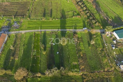 Terra a Sobreira, Porto, Sobreira - € 7.900 | Ref: ZMPT570601 - foto 6