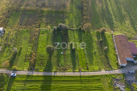 Terra a Sobreira, Porto, Sobreira - € 7.900 | Ref: ZMPT570601 - foto 5