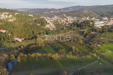 Terra a Sobreira, Porto, Sobreira - € 39.000 | Ref: ZMPT570602 - foto 6