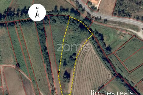 Terra a Sobreira, Porto, Sobreira - € 39.000 | Ref: ZMPT570602 - foto 7