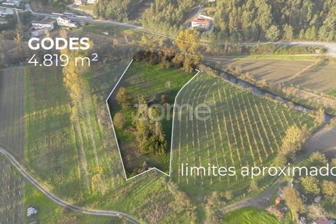 Terra a Sobreira, Porto, Sobreira - € 39.000 | Ref: ZMPT570602 - foto 2